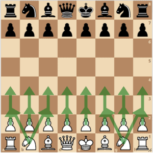 FYI: How Many Different Ways Can a Chess Game Unfold?