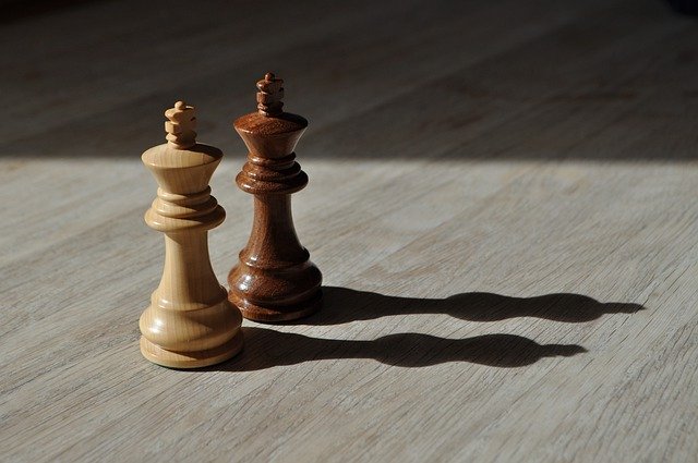 Can A King Take A King In Chess?