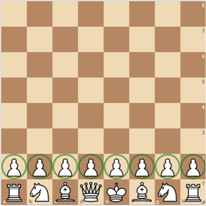 Setting up the chessboard: pawns