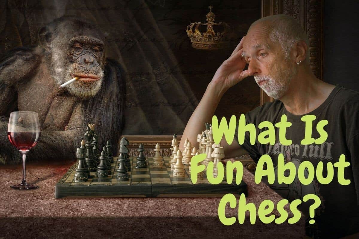 What Is Fun About Chess?